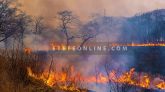 Global-warming_wild-fire