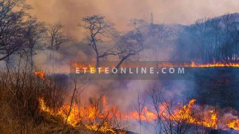 Global-warming_wild-fire