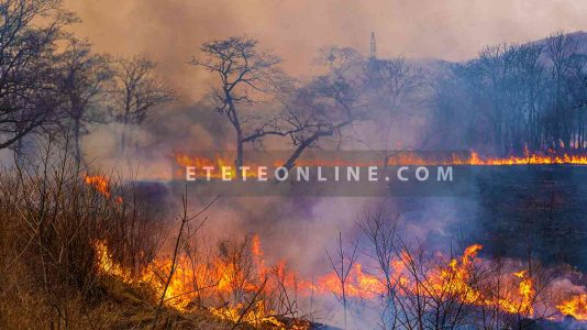 Global-warming_wild-fire