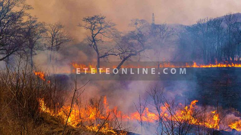 Global-warming_wild-fire