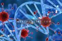 Virus-attacking-DNA-Cells-image